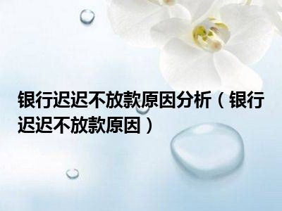 银行迟迟不放款原因分析（银行迟迟不放款原因）