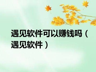 遇见软件可以赚钱吗（遇见软件）