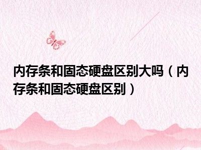 内存条和固态硬盘区别大吗（内存条和固态硬盘区别）