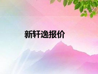新轩逸报价