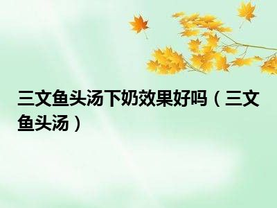 三文鱼头汤下奶效果好吗（三文鱼头汤）