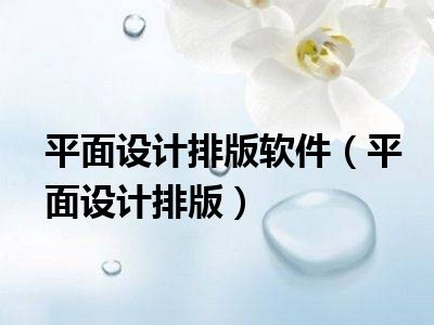 平面设计排版软件（平面设计排版）