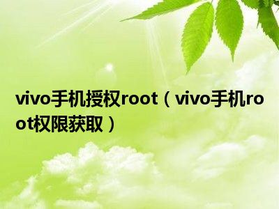 vivo手机授权root（vivo手机root权限获取）