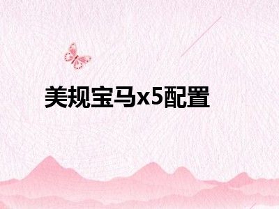 美规宝马x5配置