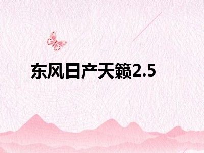 东风日产天籁2.5