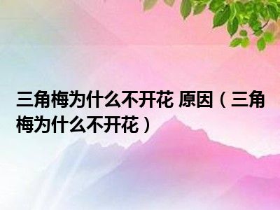三角梅为什么不开花 原因（三角梅为什么不开花）