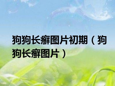 狗狗长癣图片初期（狗狗长癣图片）