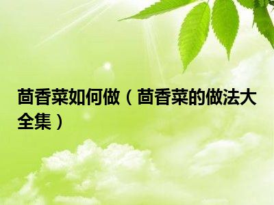 茴香菜如何做（茴香菜的做法大全集）