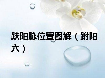 趺阳脉位置图解（跗阳穴）