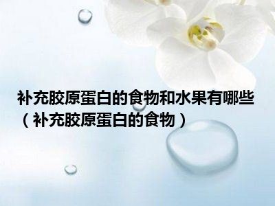 补充胶原蛋白的食物和水果有哪些（补充胶原蛋白的食物）