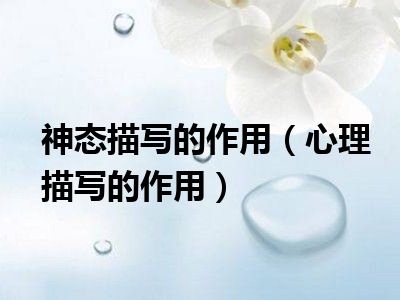 神态描写的作用（心理描写的作用）