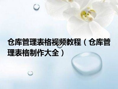 仓库管理表格视频教程（仓库管理表格制作大全）