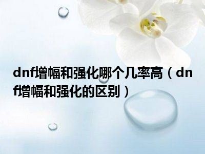dnf增幅和强化哪个几率高（dnf增幅和强化的区别）