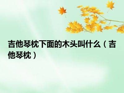 吉他琴枕下面的木头叫什么（吉他琴枕）