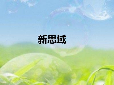 新思域