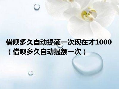 借呗多久自动提额一次现在才1000（借呗多久自动提额一次）