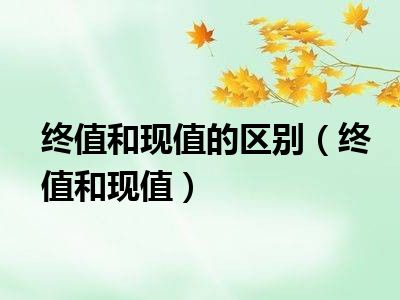 终值和现值的区别（终值和现值）
