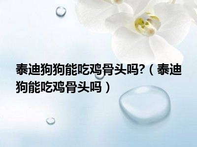 泰迪狗狗能吃鸡骨头吗?（泰迪狗能吃鸡骨头吗）