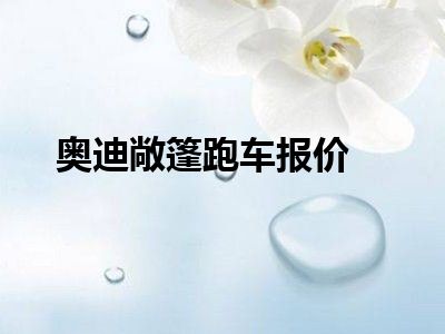 奥迪敞篷跑车报价