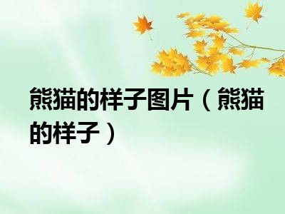 熊猫的样子图片（熊猫的样子）