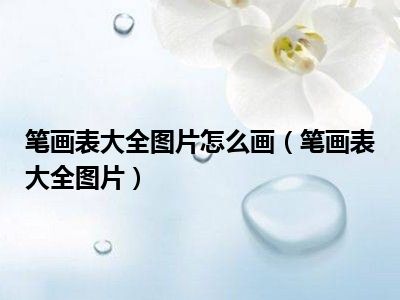 笔画表大全图片怎么画（笔画表大全图片）