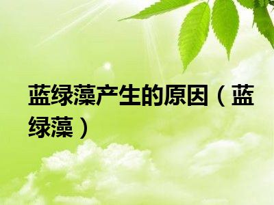 蓝绿藻产生的原因（蓝绿藻）