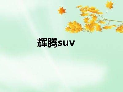 辉腾suv