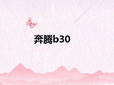 奔腾b30