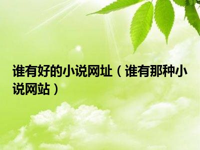 谁有好的小说网址（谁有那种小说网站）
