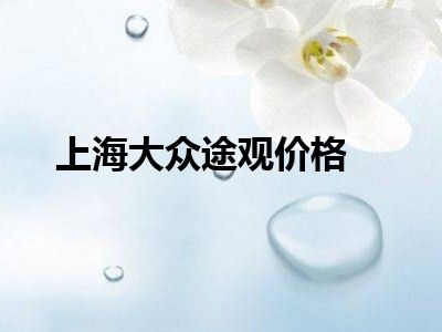 上海大众途观价格