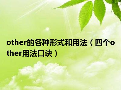 other的各种形式和用法（四个other用法口诀）