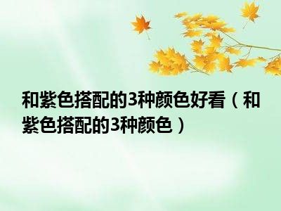 和紫色搭配的3种颜色好看（和紫色搭配的3种颜色）