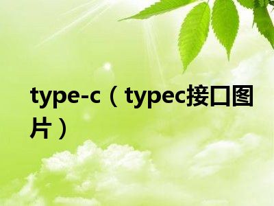 type-c（typec接口图片）