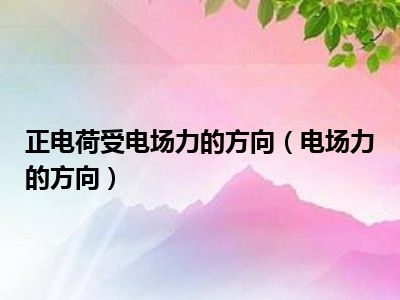 正电荷受电场力的方向（电场力的方向）