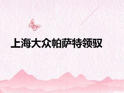 上海大众帕萨特领驭