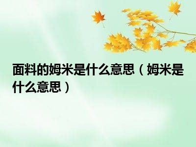 面料的姆米是什么意思（姆米是什么意思）