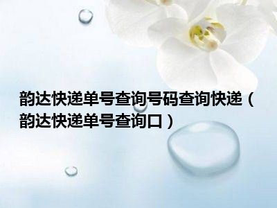 韵达快递单号查询号码查询快递（韵达快递单号查询口）