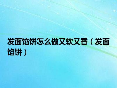 发面馅饼怎么做又软又香（发面馅饼）