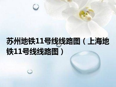 苏州地铁11号线线路图（上海地铁11号线线路图）