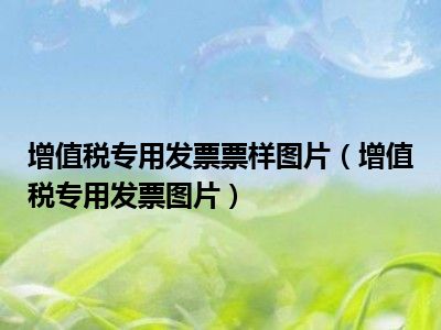 增值税专用发票票样图片（增值税专用发票图片）