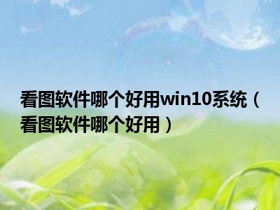 看图软件哪个好用win10系统（看图软件哪个好用）