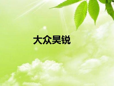 大众昊锐