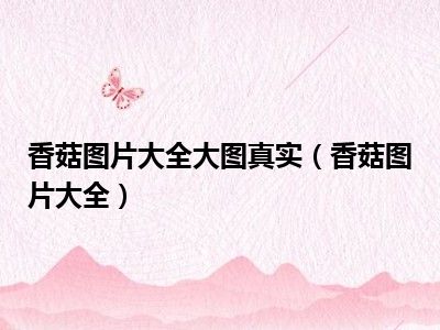 香菇图片大全大图真实（香菇图片大全）