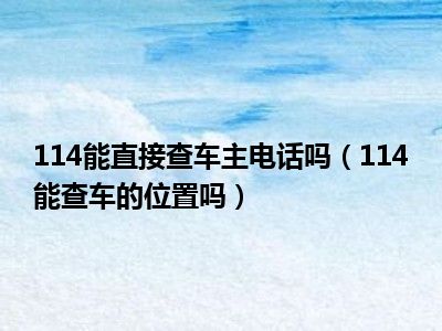 114能直接查车主电话吗（114能查车的位置吗）