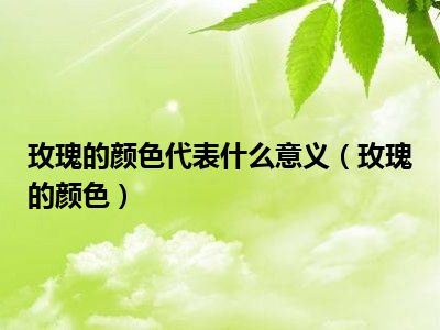 玫瑰的颜色代表什么意义（玫瑰的颜色）
