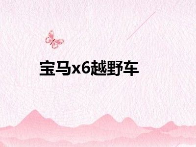 宝马x6越野车