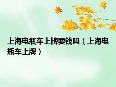 上海电瓶车上牌要钱吗（上海电瓶车上牌）