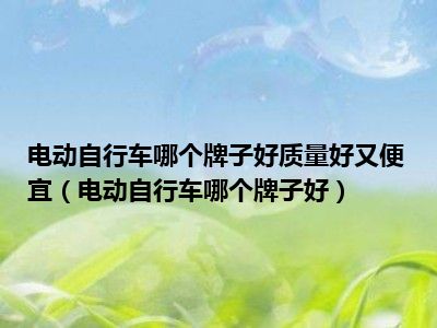 电动自行车哪个牌子好质量好又便宜（电动自行车哪个牌子好）
