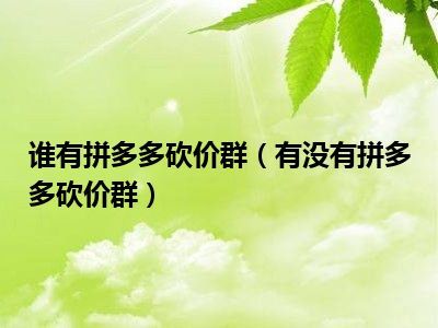 谁有拼多多砍价群（有没有拼多多砍价群）