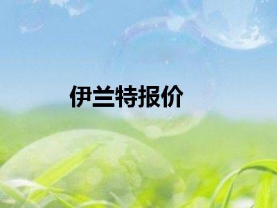 伊兰特报价